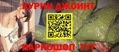индика Заводоуковск