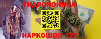 индика Заводоуковск