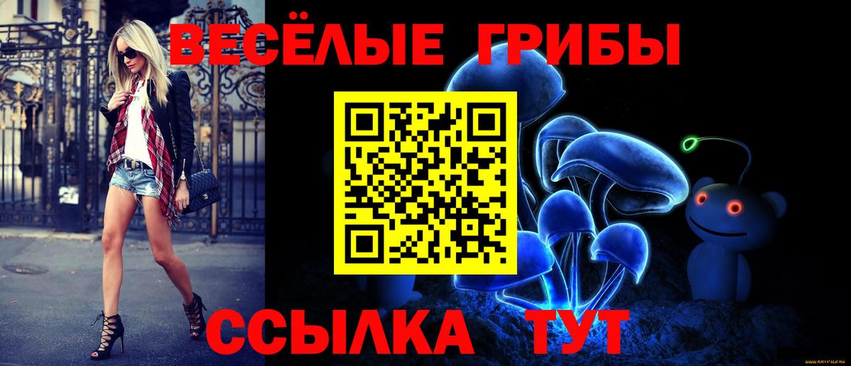 Галлюциногенные грибы Magic Shrooms  Галлюциногенные грибы Psilocybine cubensis  Вход с VPN  Кызыл 