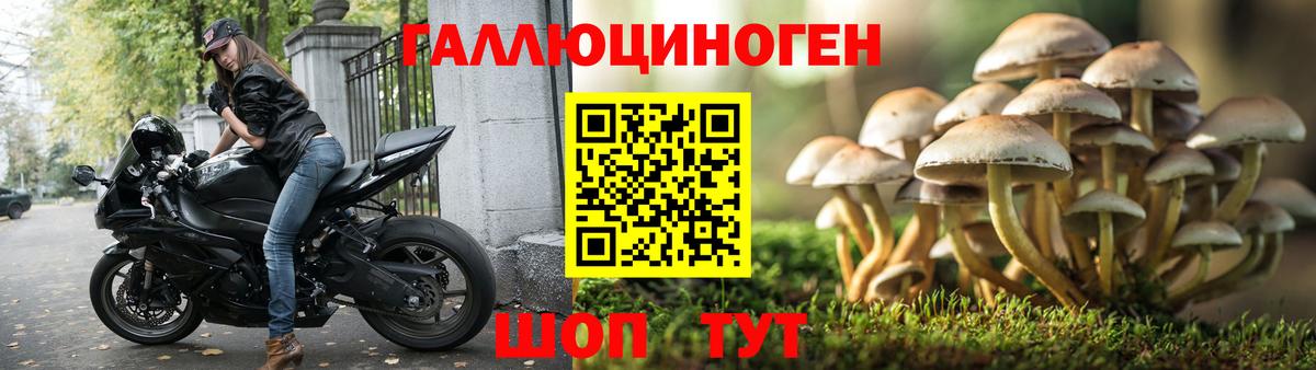 Псилоцибиновые грибы прущие грибы Кызыл